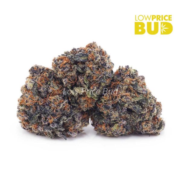 Buy Purple Afghani (AA) online Canada