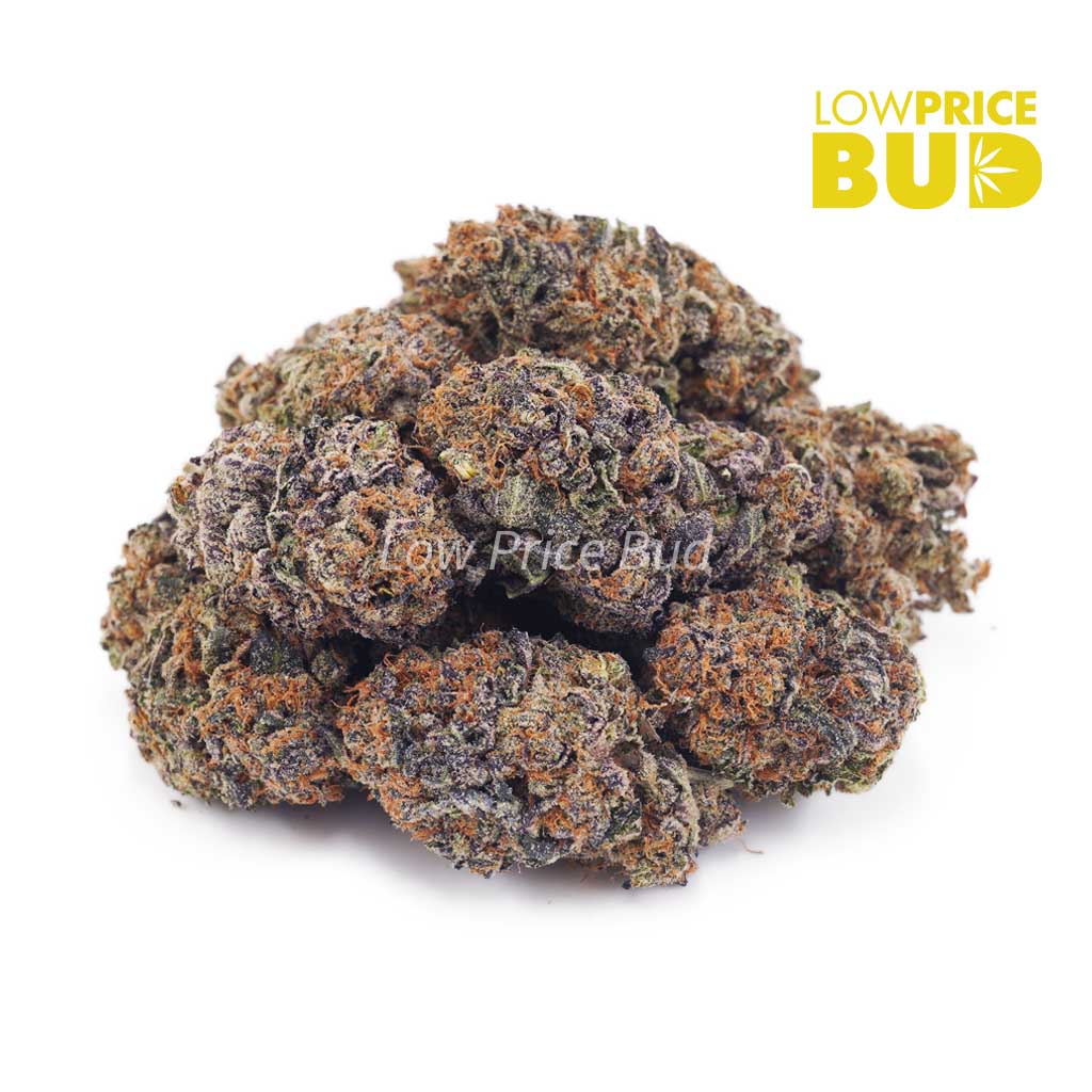 Buy Purple Afghani (AA) online Canada