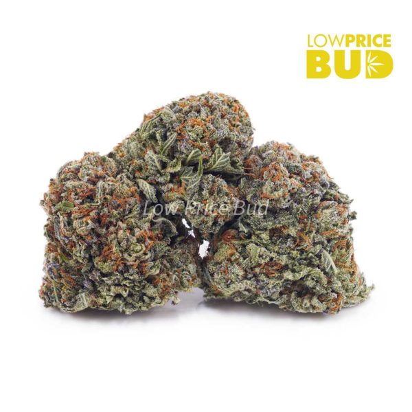 Buy King’s Candy (AA) online Canada