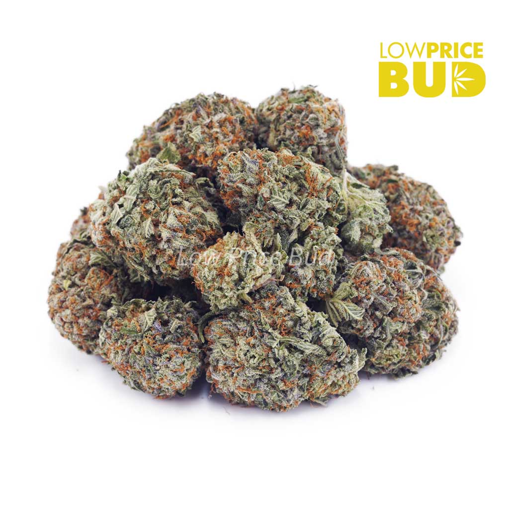 Buy King’s Candy (AA) online Canada