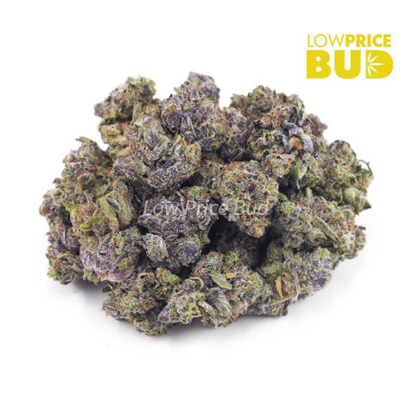 Buy Pink Comatose OG (AAAA) – Popcorn Nugs online Canada