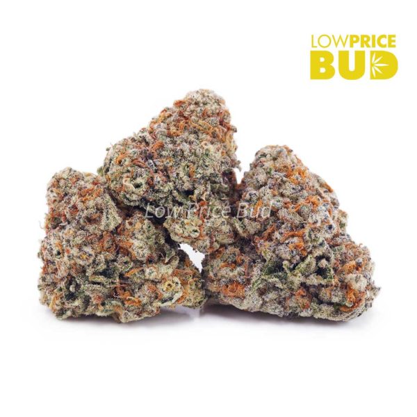 Buy Double OG (AAA) online Canada