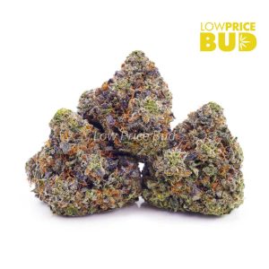 Buy Build Your Own Oz 8 x 3.5g online Canada