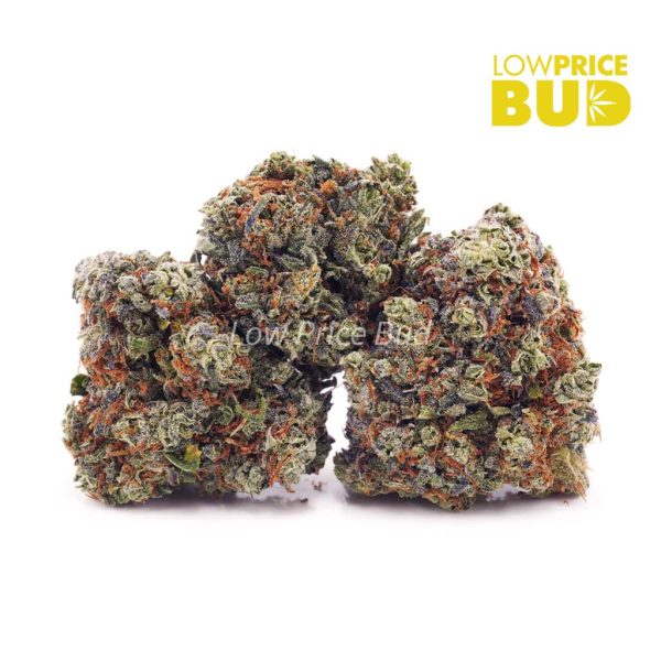 Buy Blackberry OG (AAA) online Canada