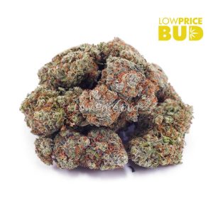 Buy Blackberry OG (AAA) online Canada
