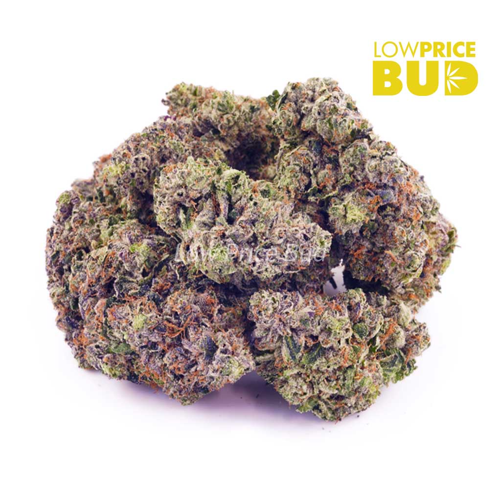 Buy Master Kush Ultra (AAA) online Canada
