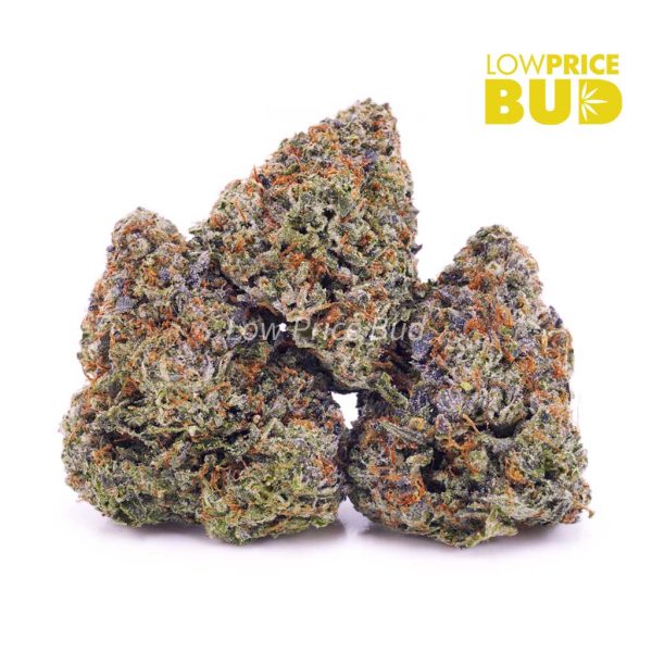 Buy Death Pink (AAA) online Canada