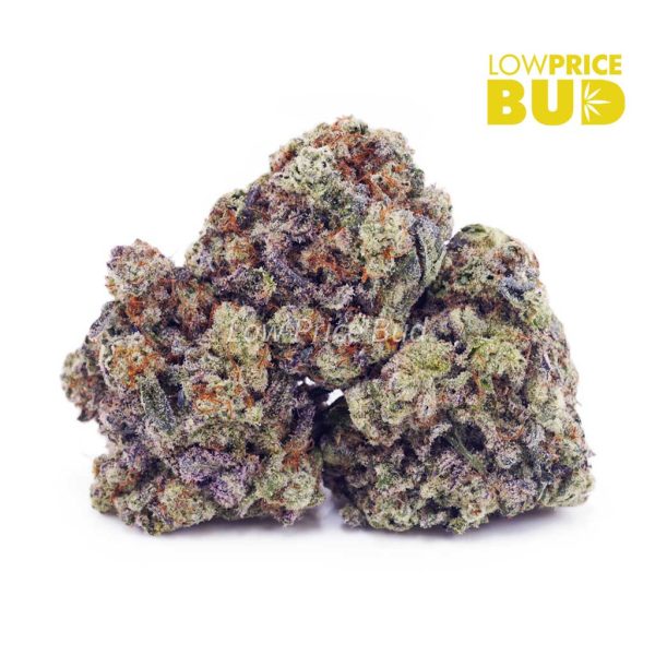 Buy Strawberry Shortcake (AAA) online Canada