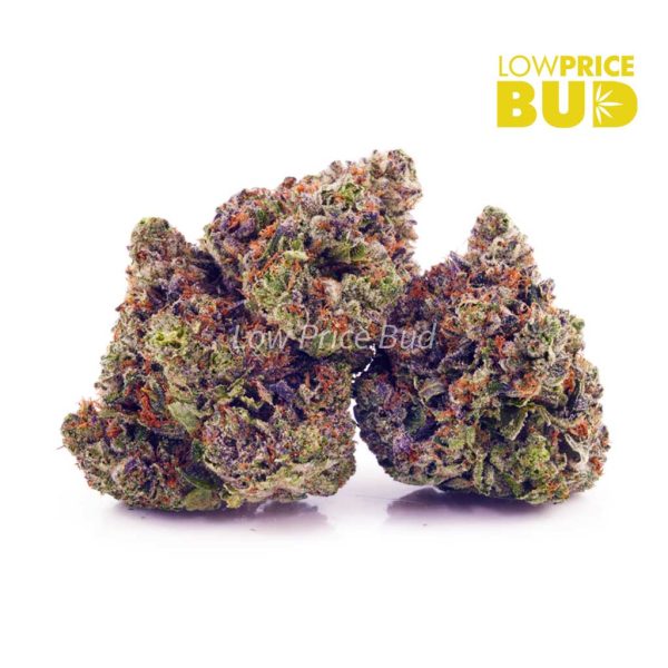 Buy Pink Crack (AAA) online Canada