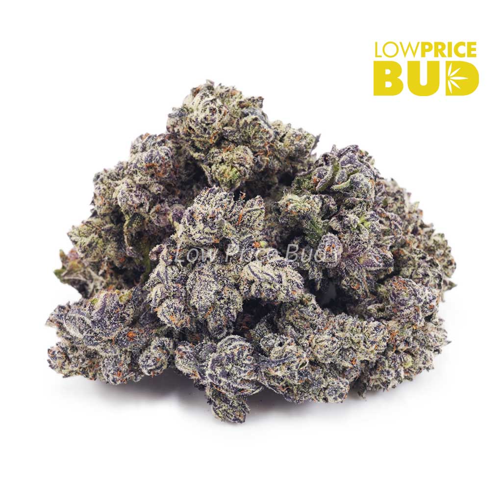 Buy Budzilla (AAAA) online Canada