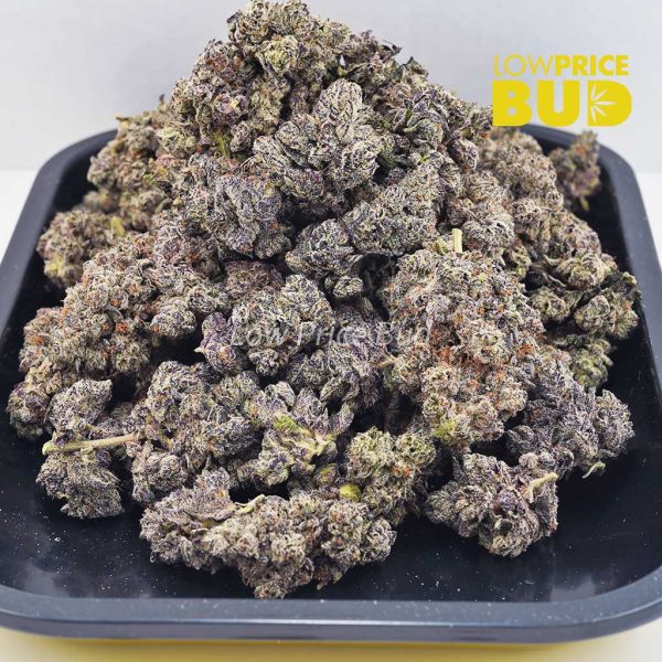 Buy Budzilla (AAAA) online Canada