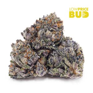 Buy Granddaddy Purple (AAAA) online Canada