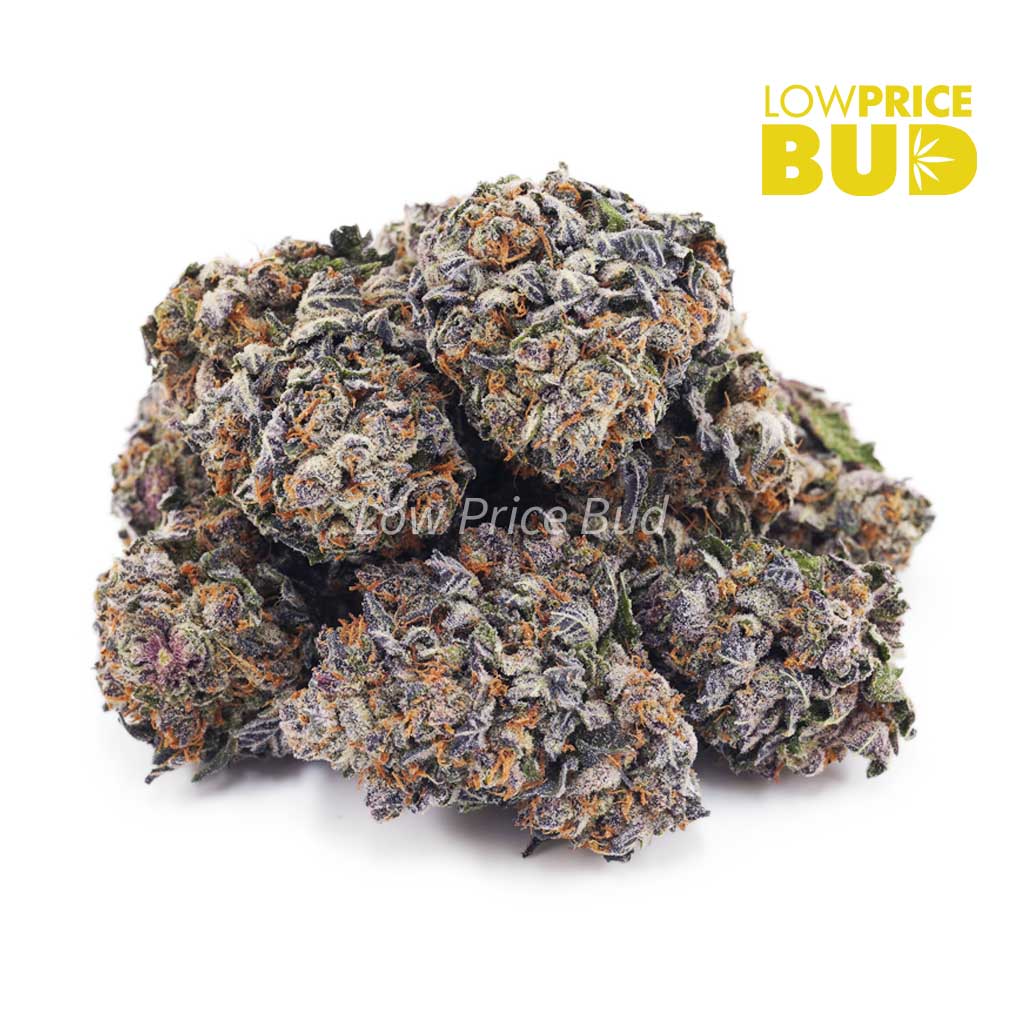 Buy Granddaddy Purple (AAAA) online Canada