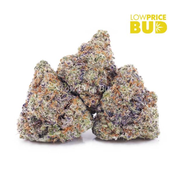 Buy Gorilla Stomper (AAAA) online Canada