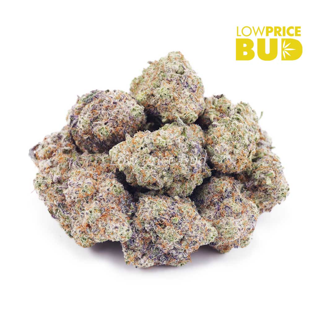 Buy Gorilla Stomper (AAAA) online Canada