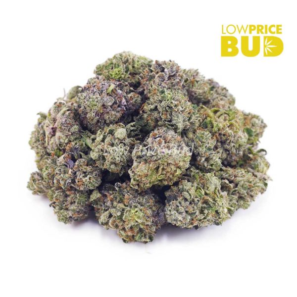 Buy Pink Gas (AAAA) – Popcorn Nugs online Canada
