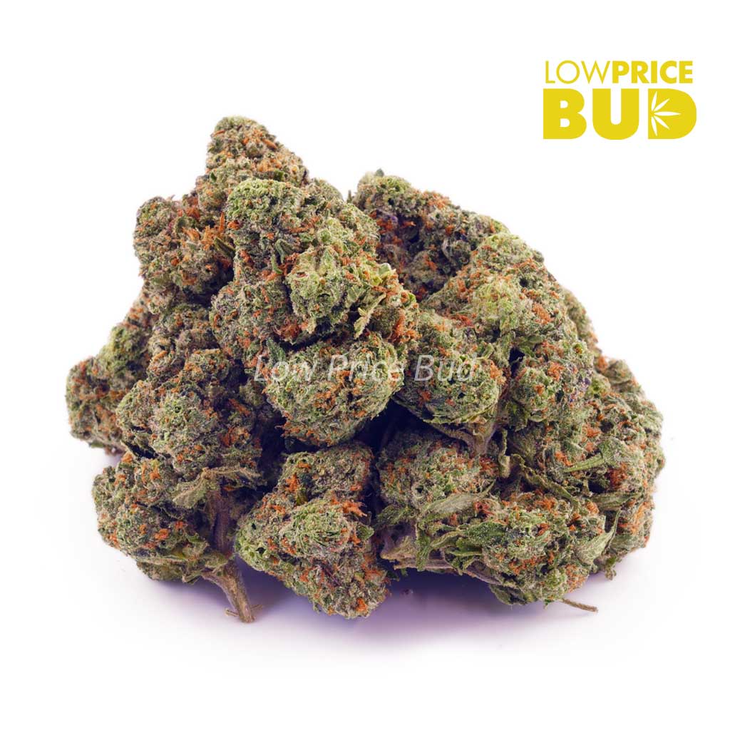 Buy Maui Wowie (AAA) online Canada