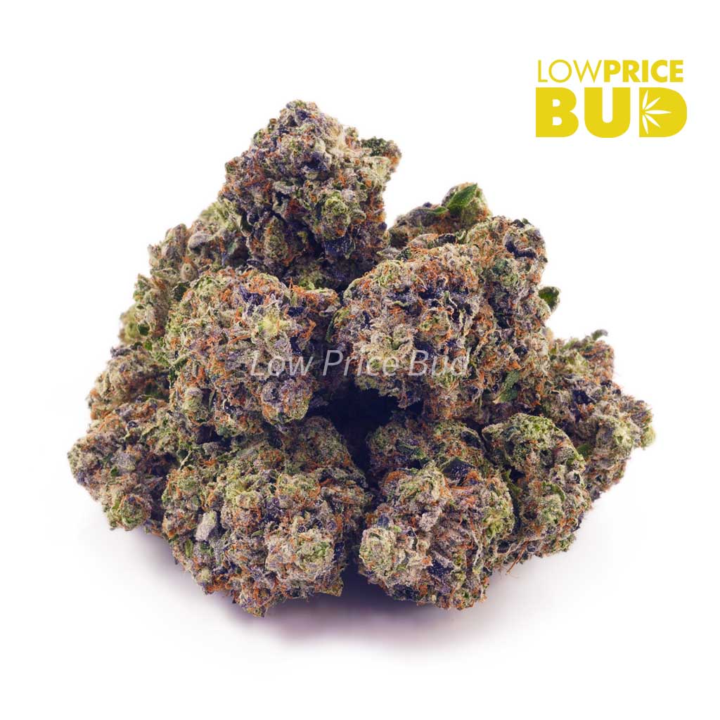 Buy Pink Gas Mask (Craft Cannabis) online Canada