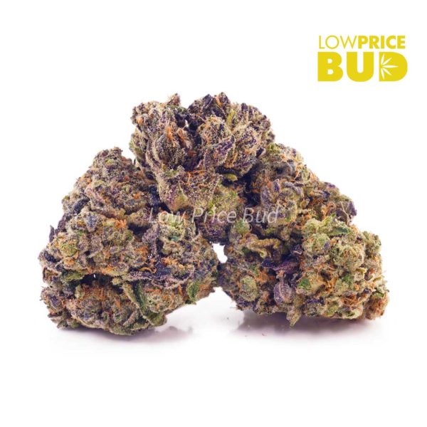 Buy OG Skunk (AA) online Canada