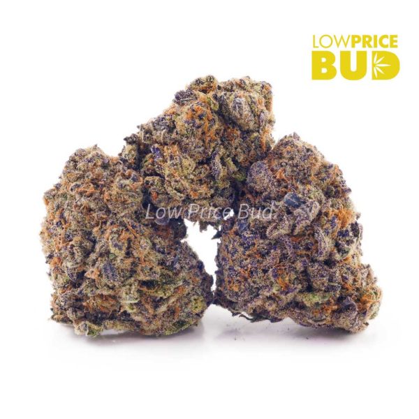 Buy Island Sweet Skunk (AA) online Canada