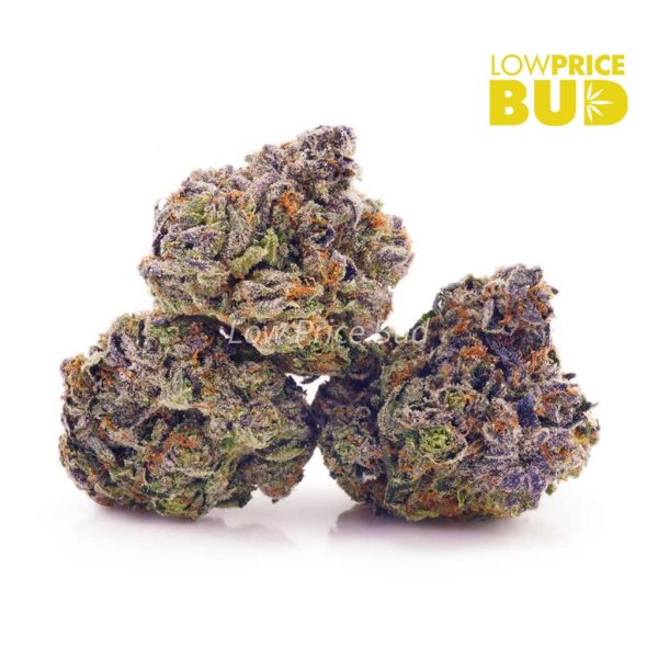 Buy Bubba Gum (AAA) online Canada