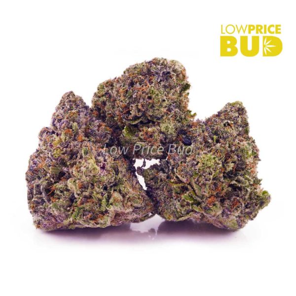 Buy White Walker Bubba (AAA) online Canada