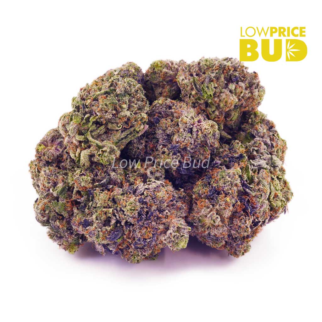 Buy White Walker Bubba (AAA) online Canada