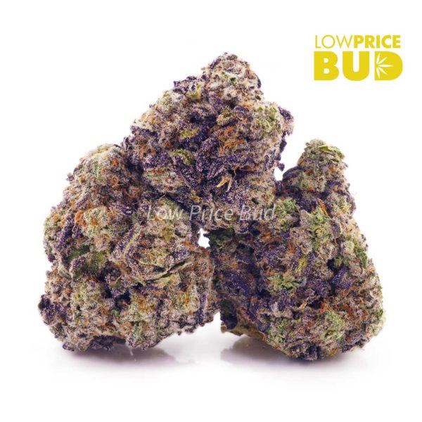 Buy Chocolate Kush (AAAA) online Canada
