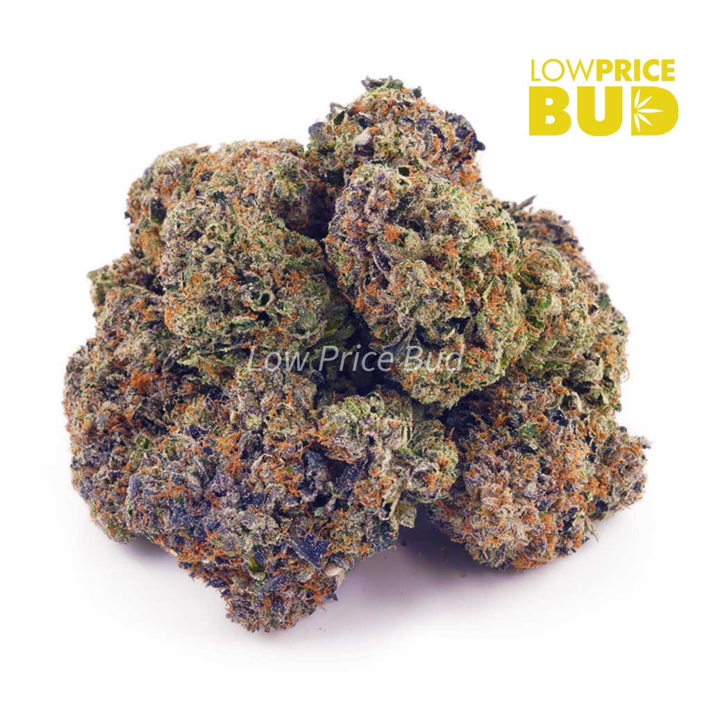 Buy Jet Fuel (AAAA) online Canada