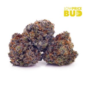 Buy Blue Venom (AAA) online Canada