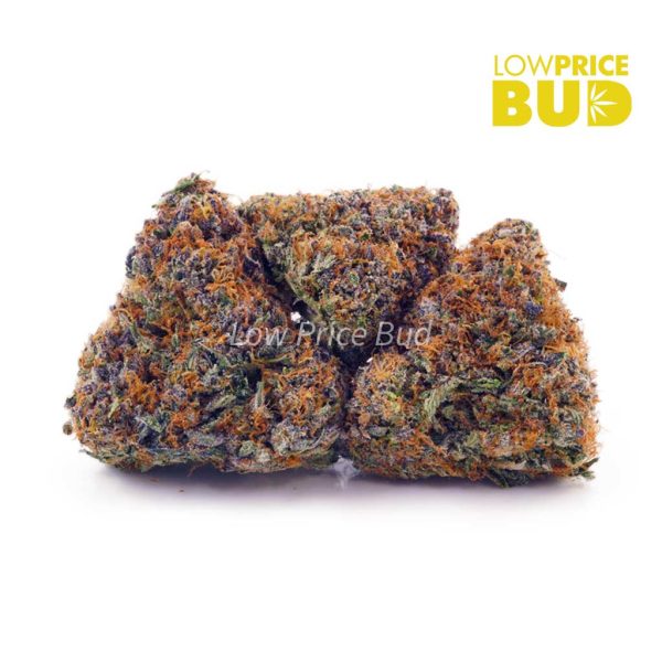 Buy Blackberry Kush (AAA) online Canada