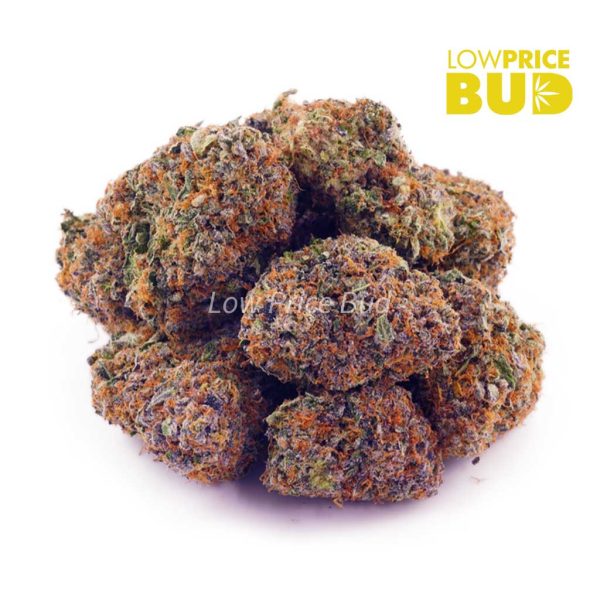Buy Blackberry Kush (AAA) online Canada