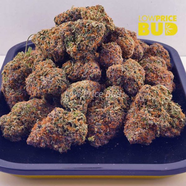 Buy Blackberry Kush (AAA) online Canada