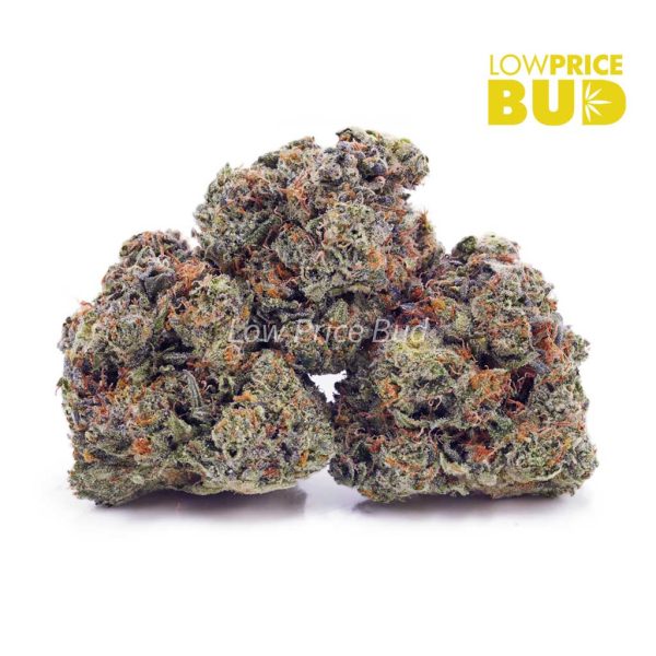 Buy Gas Mask Bubba (AAAA) online Canada