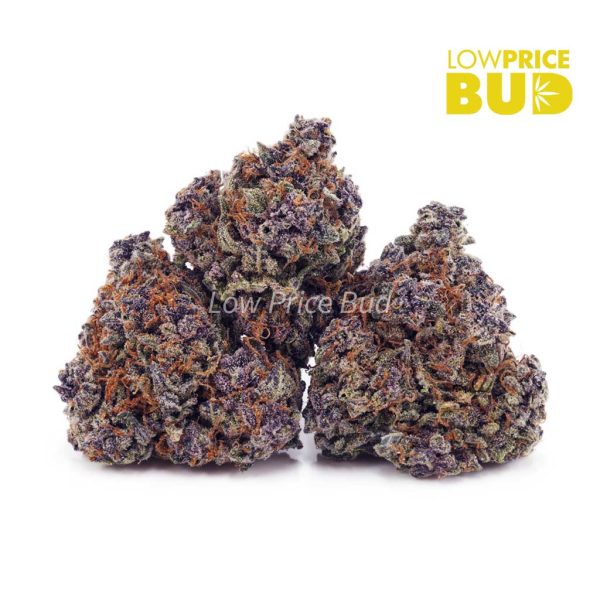 Buy Blueberry Cheesecake (AAAA) online Canada