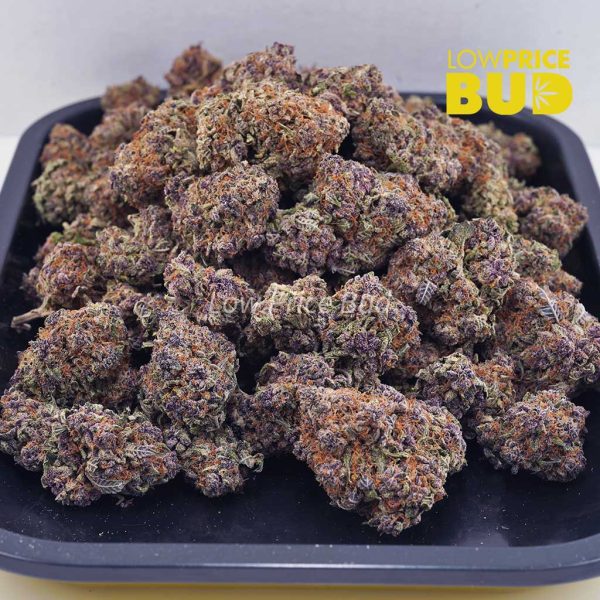 Buy Blueberry Cheesecake (AAAA) online Canada