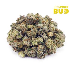 Buy Platinum Rockstar (AAAA) – Popcorn Nugs online Canada
