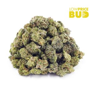 Buy Ghost OG (AAA) – Popcorn Nugs online Canada