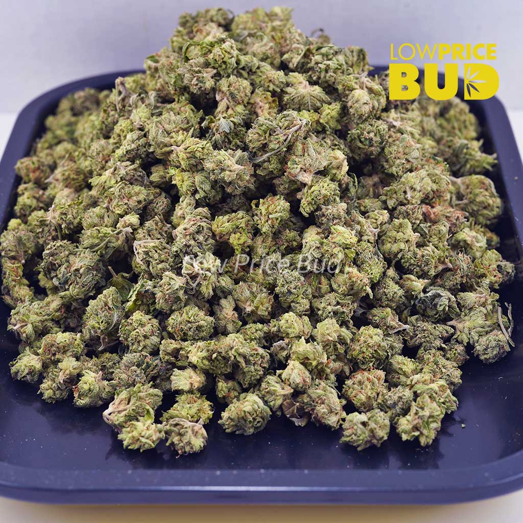 Buy Ghost OG (AAA) – Popcorn Nugs online Canada