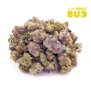 Buy GMO Cookies (AAAA) – Popcorn Nugs online Canada