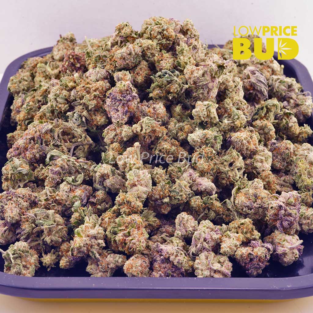 Buy GMO Cookies (AAAA) – Popcorn Nugs online Canada