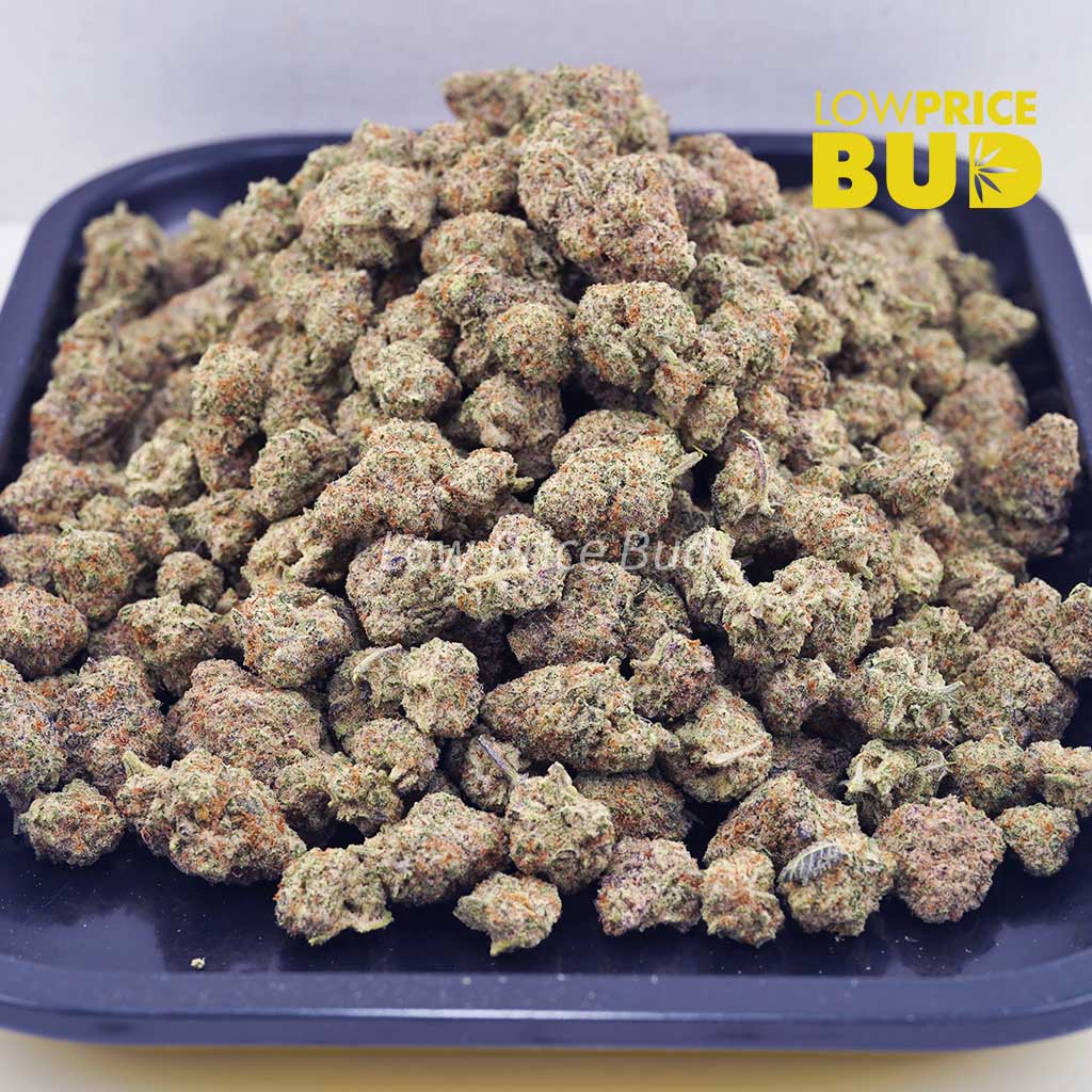 Buy Lemonade Kush (AAAA) – Popcorn Nugs online Canada