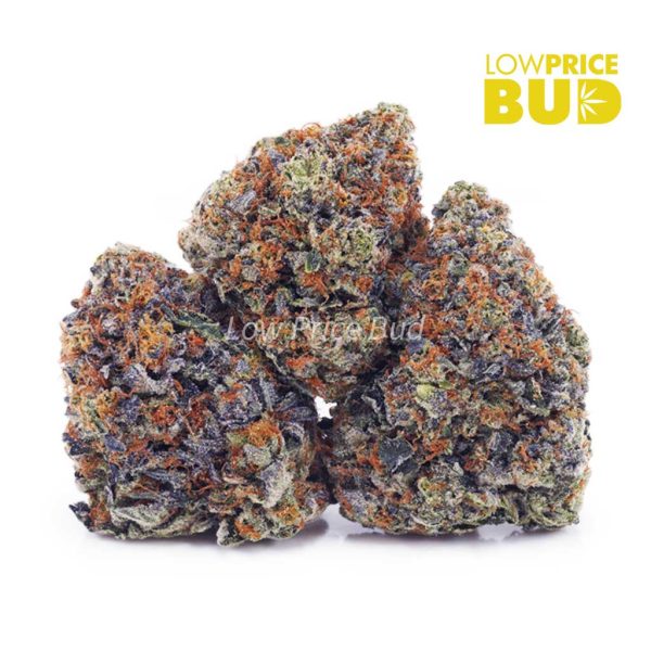 Buy Trainwreck (AA) online Canada