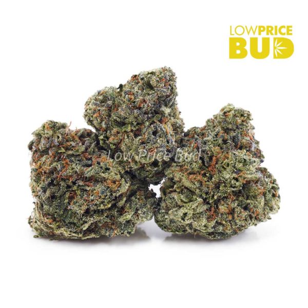 Buy Lindsay OG (AA) online Canada