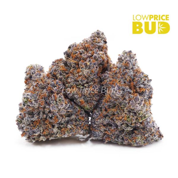 Buy Huckleberry (AAA) online Canada