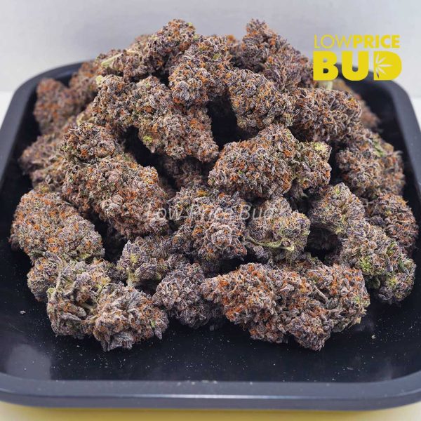 Buy Huckleberry (AAA) online Canada