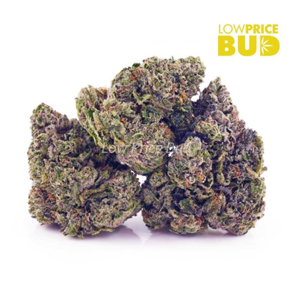 Buy Baby Yoda (AAA) online Canada