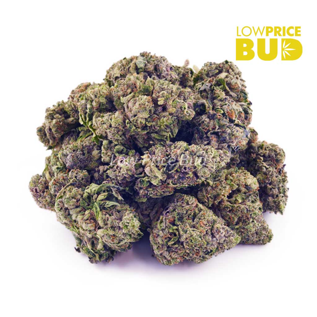 Buy Baby Yoda (AAA) online Canada