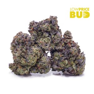 Buy Monster Pink (AAAA) online Canada