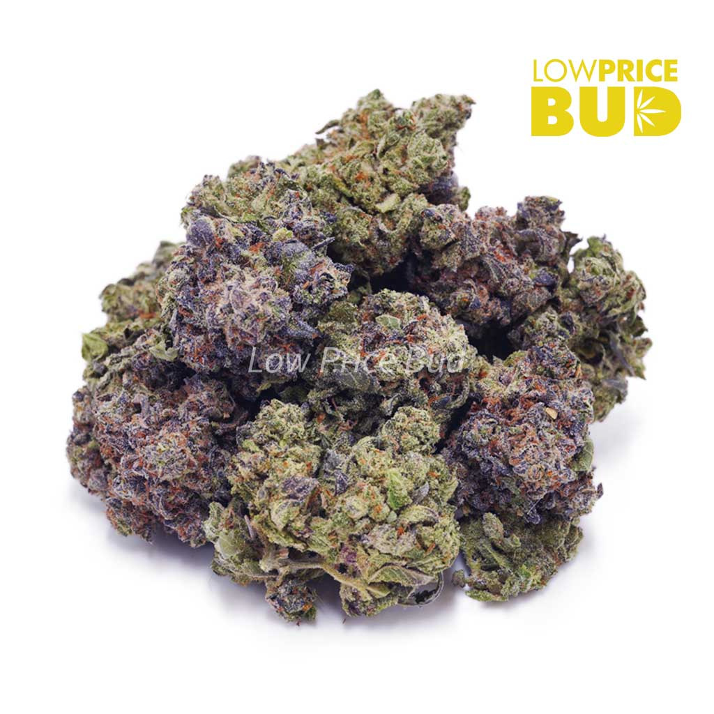 Buy Monster Pink (AAAA) online Canada